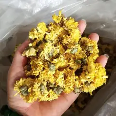 Hoa cúc vàng sấy khô 0.5 kg