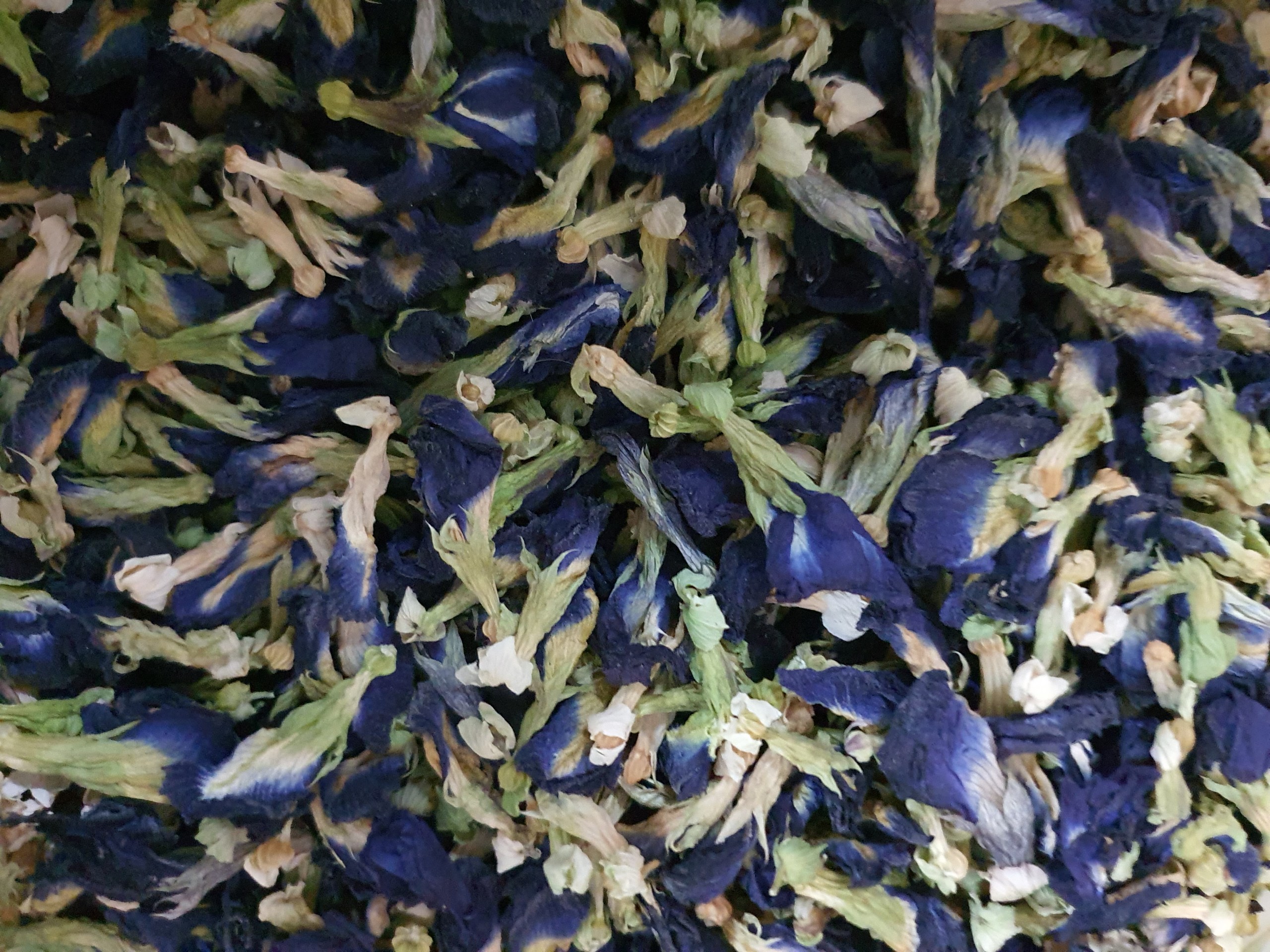 Hoa đậu biếc phơi khô 2 nắng giữ nguyên độ tươi-TÚI 50GR