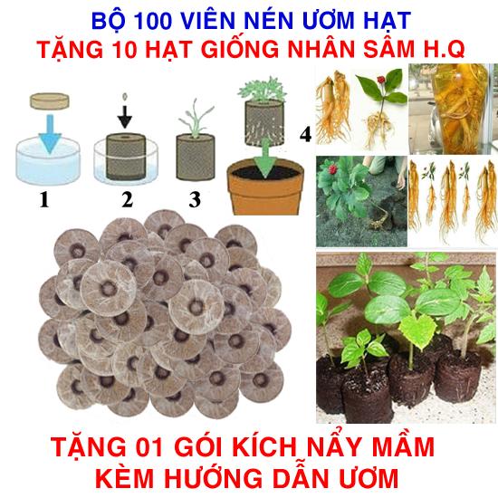 Bộ 100 viên nén ươm hạt (tặng 10 Hạt giống Nhân sâm + Kích thích nẩy mầm, Hướng dẫn)