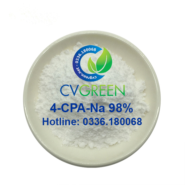 [HCM]4-CPA-Na 98% (phát triển to quả ngăn rụng quả và hoa) gói 100g