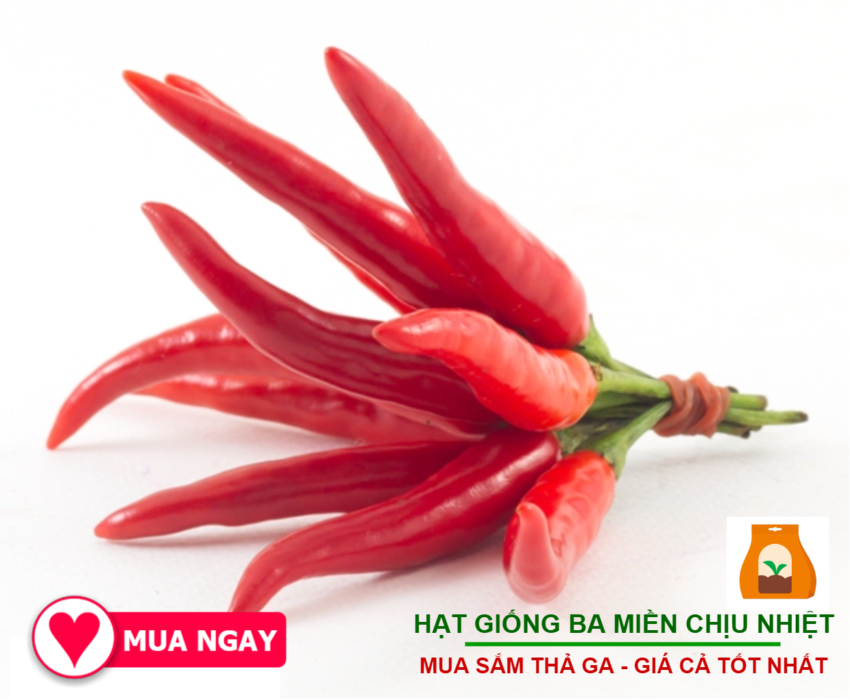 Hạt Giống Ớt Chỉ Thiên Siêu Cay F1 0.1gram