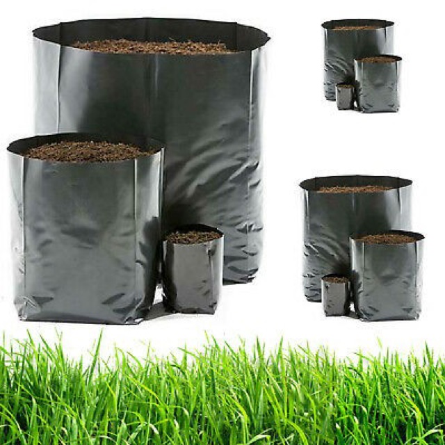 1kg Túi bầu ươm cây nhiều kích cỡ thông dụng giá rẻ