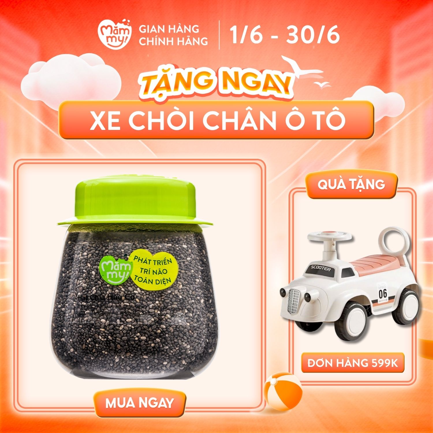 Hạt Chia Mămmy hữu cơ cho bé ăn dặm từ 6 tháng tuổi, hũ 110gr