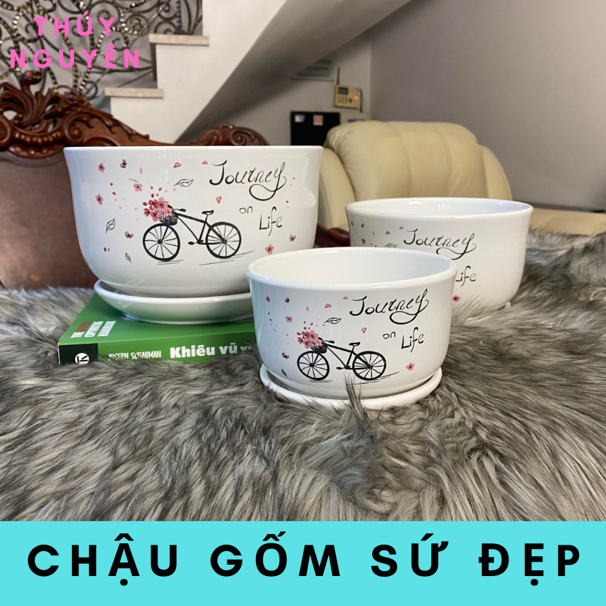 Chậu gốm sứ trồng cây đẻ bàn nhập khẩu