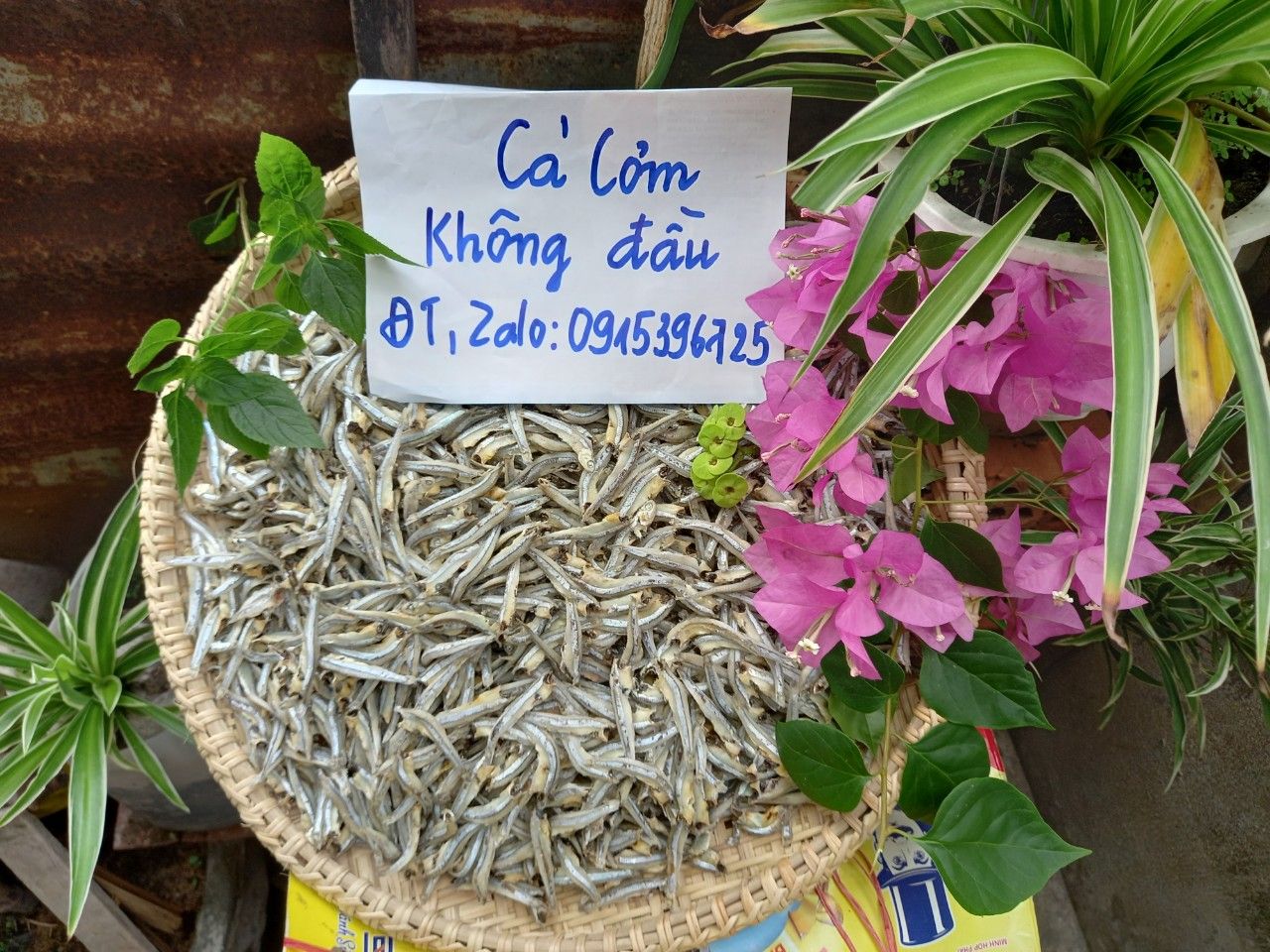 0.5kg cá cơm khô không đầu, loại 1