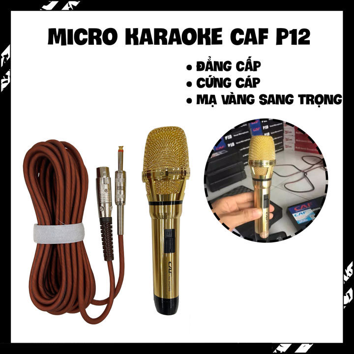 [HCM][SALE 50%] Micro Hát Karaoke Có Dây Sành Điệu Micro Có Dây Cao Cấp Micro Gia Đình Micro Không Dây Micro Có Dây CAF P12 PRO Hàng Loại 1 Chống Hú Âm Thanh Trung Thực Độ Bền Cao An Toàn Cho Người Dùng BH 12 TH