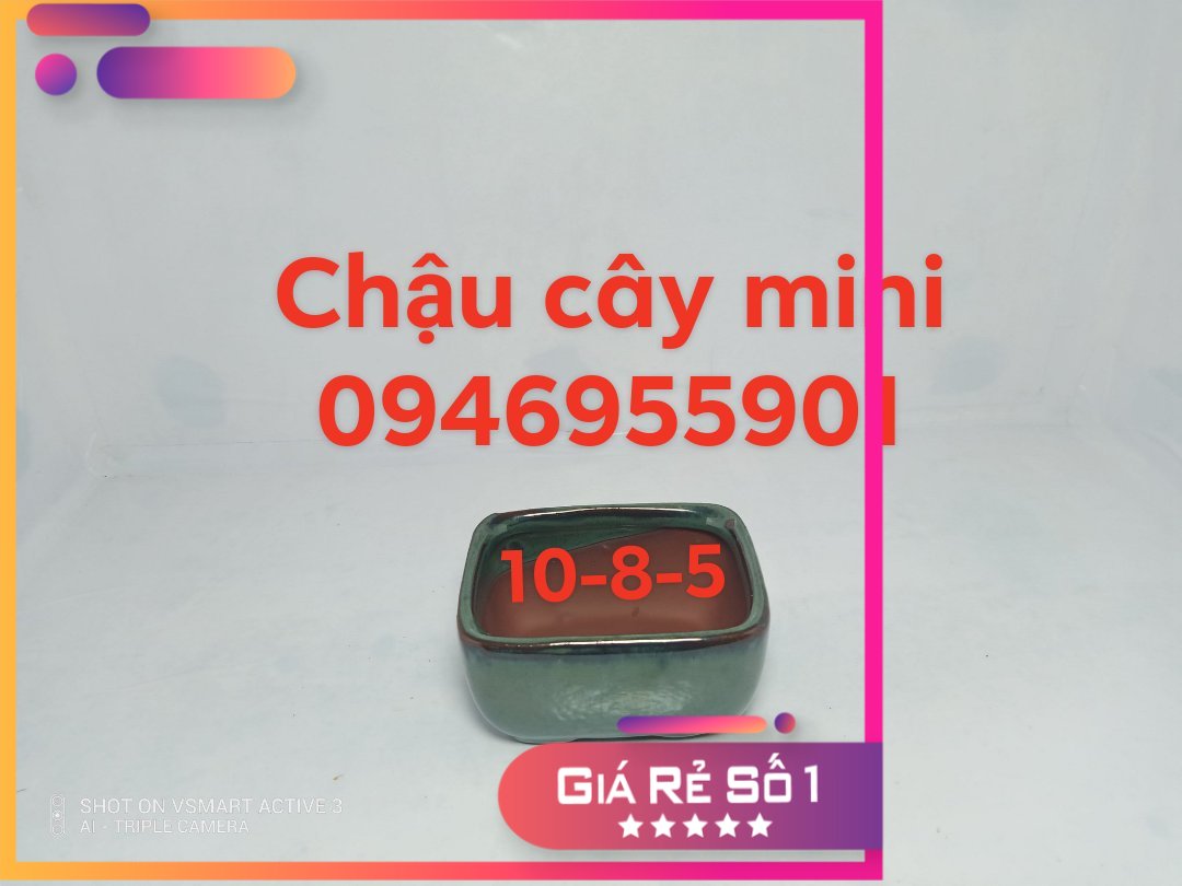 Chậu chữ nhật mini nhỡ, chậu cây bonsai mini