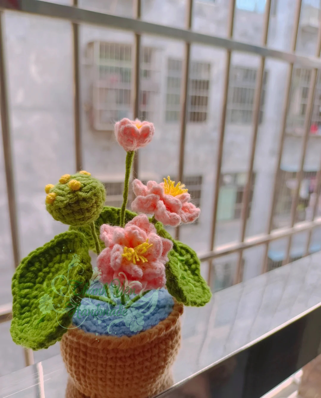 Chậu hoa sen nhỏ
