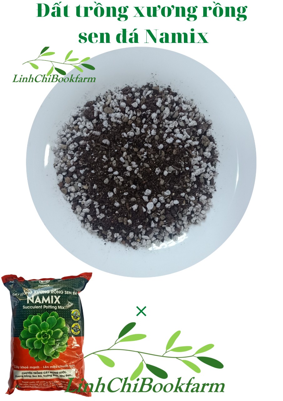 Đất trồng sen đá xương rồng Namix chuyên trồng cây mọng nước như: Xương rồng, sen đá, cây trường sinh, nha đam…,