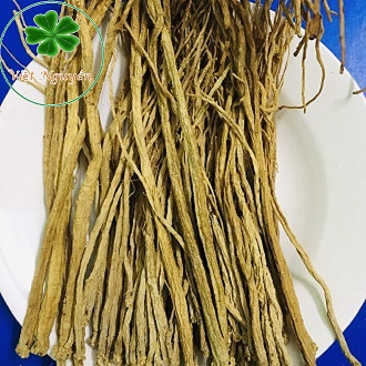 Đẳng sâm khô bồi bổ khí huyết túi 100-300g Việt Nguyên