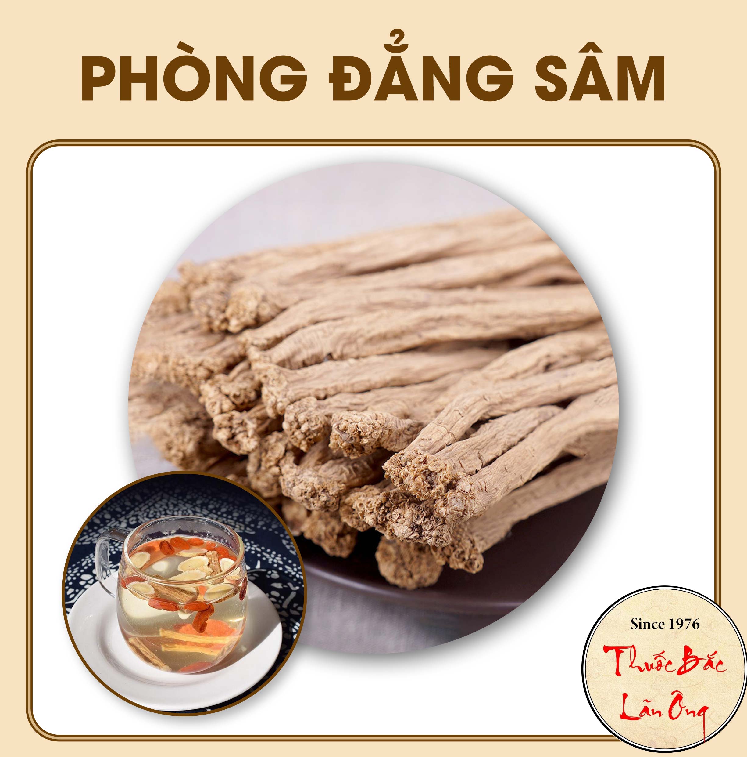 Phòng đẳng sâm 100g, đẳng sâm cao cấp, cọng to, thơm, già - Lãn Ông