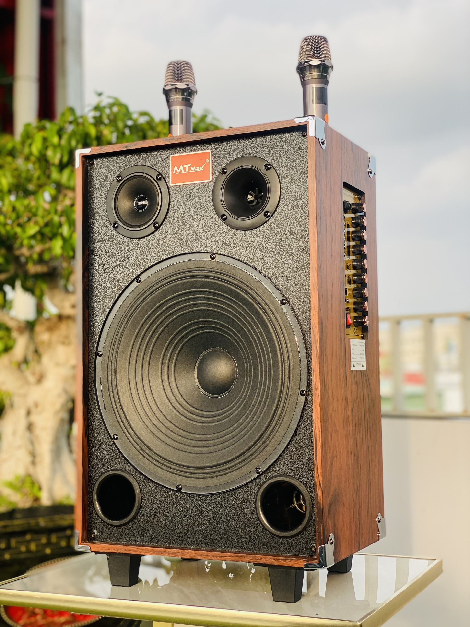 Loa Karaoke Di Động T3 Pro Bass 30 Công Suất 500W – Âm Thanh Mạnh Mẽ, Kèm Micro Không Dây, Hát Hay Mọi Lúc, Kết Nối Bluetooth/USB/AUX, Dễ Dàng Mang Theo, Phù Hợp Tiệc Tùng & Dã Ngoại