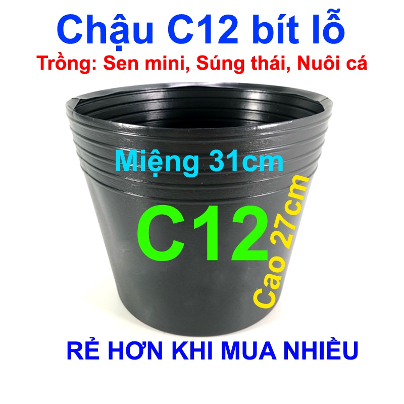 Chậu nhựa trồng cây C12 bít lỗ chậu trồng sen mini, nuôi cá