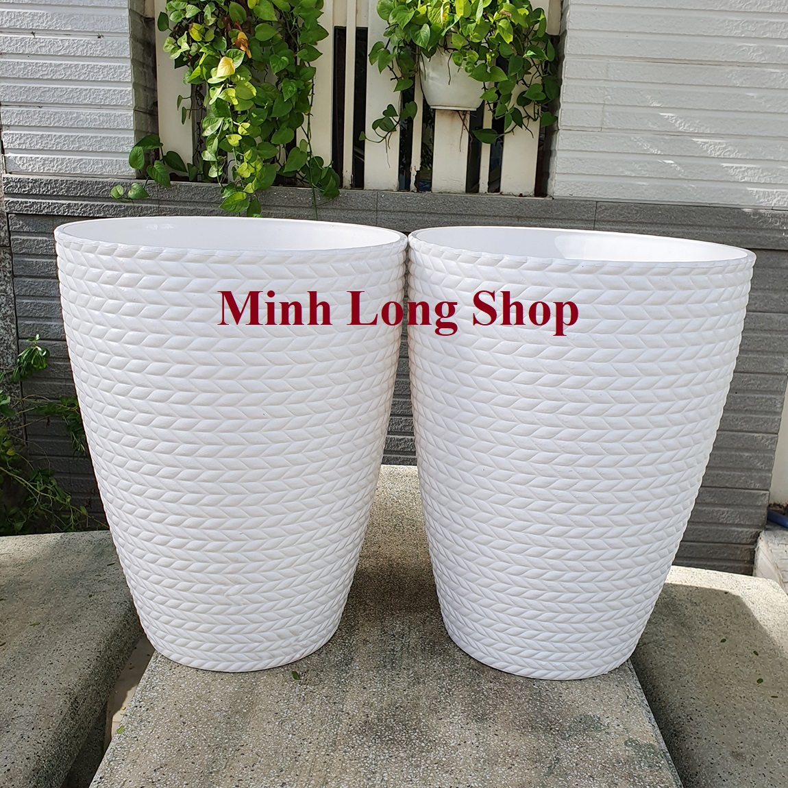 Bộ 02 chậu bông lúa trắng 33x41cm chất liệu nhựa dày đẹp thiết kế kiểu bông lúa rất đẹp sang trọng và trang nhã trồng hoa kiểng cây ăn trái...