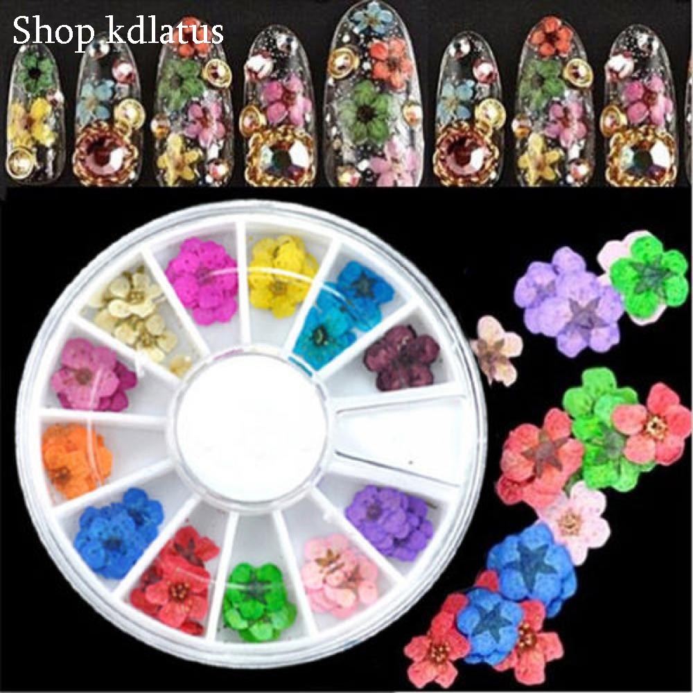 Khay Hoa Khô Tròn Đắp Ẩn Gel Trang Trí Móng Nghệ Thuật Làm Nail shopinail
