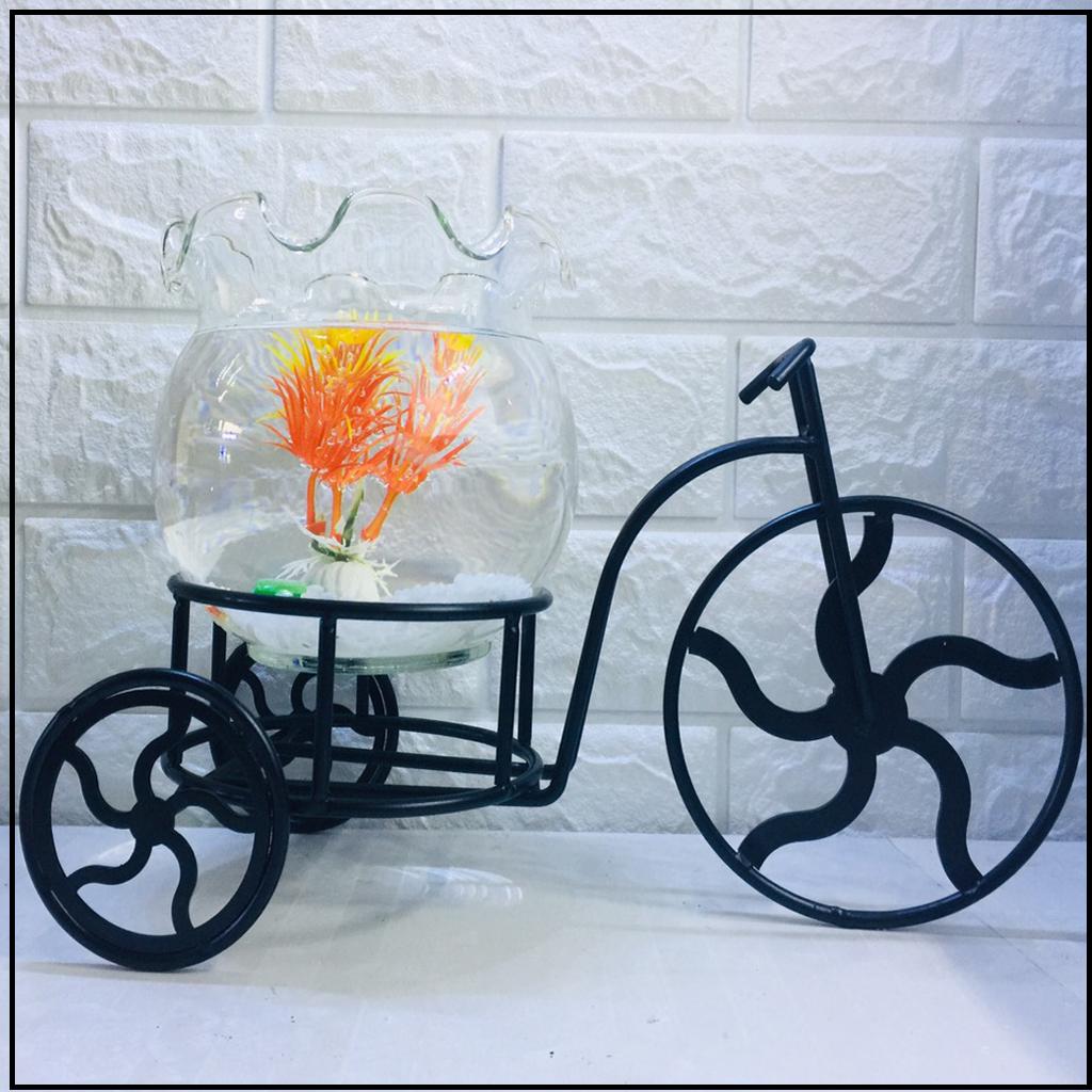 Bể cá mini để bàn xe đạp và chậu bèo