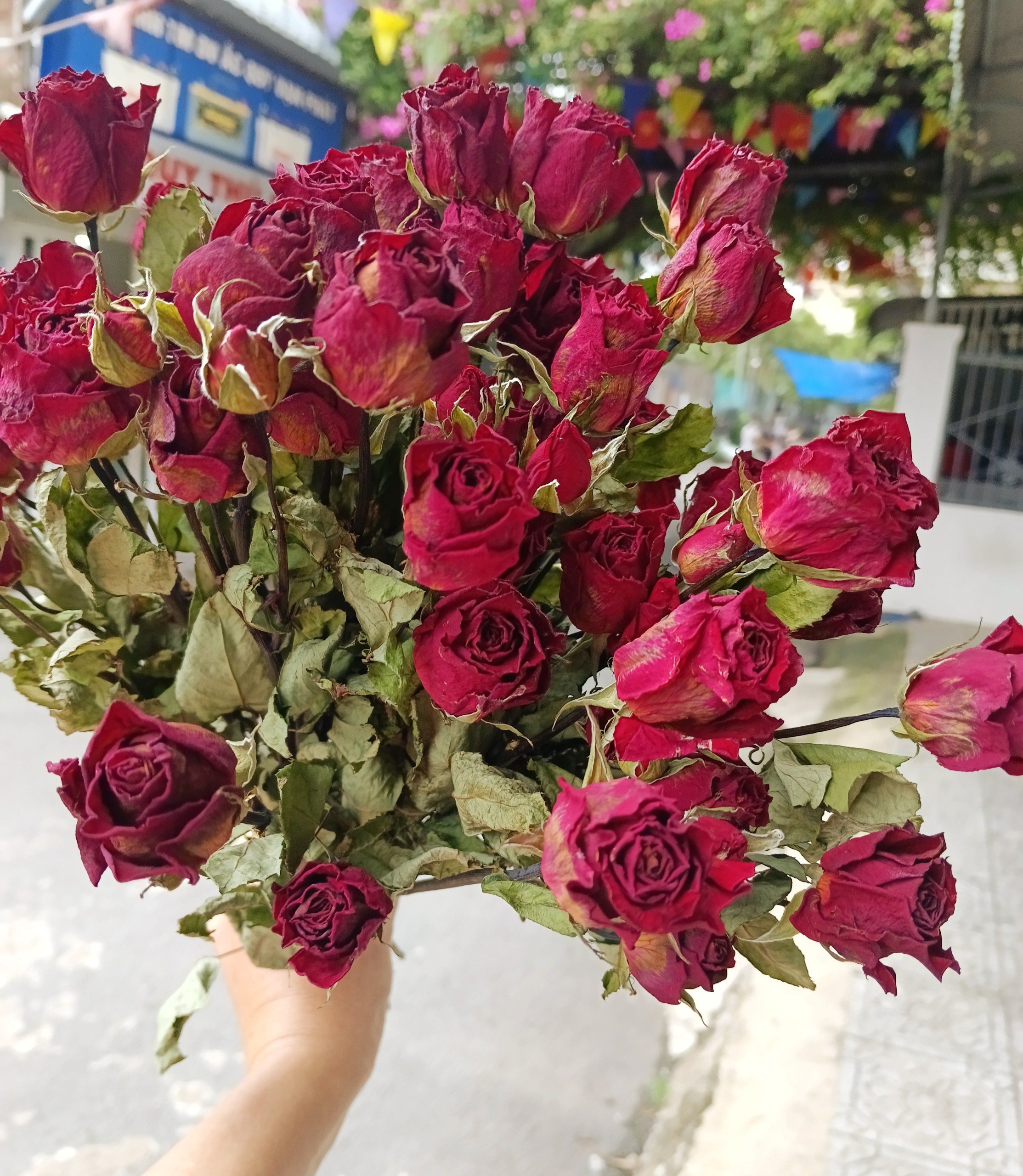 Hoa khô - 10 cành hoa hồng khô - trang trí cắm bình