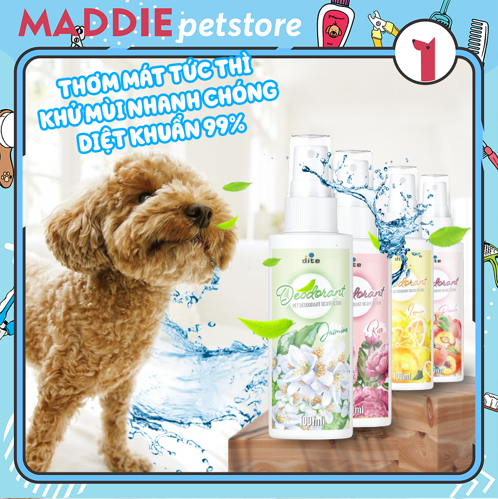 [MUA 3 TẶNG 1] BÌNH XỊT KHỬ MÙI NƯỚC TIỂU, MÙI HÔI CHÓ MÈO - KHỬ TRÙNG CHẤT THẢI, CÁT VỆ SINH, NỆM NGỦ