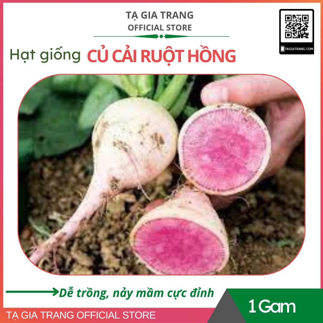Hạt giống củ cải ruột hồng - Gói 1G
