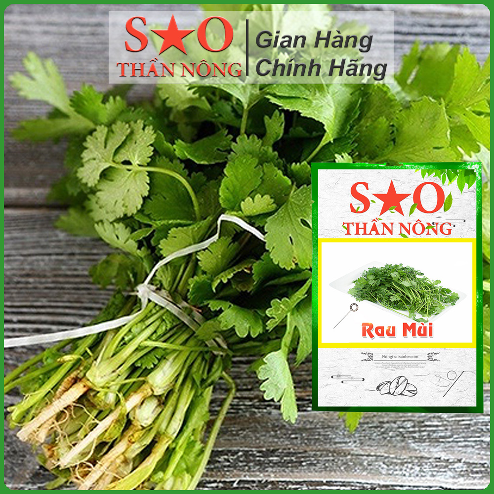 Hạt Giống Rau Mùi Ngò Ta cao sản - Hạt giống rau thơm Sao Thần Nông (Apiaceae)