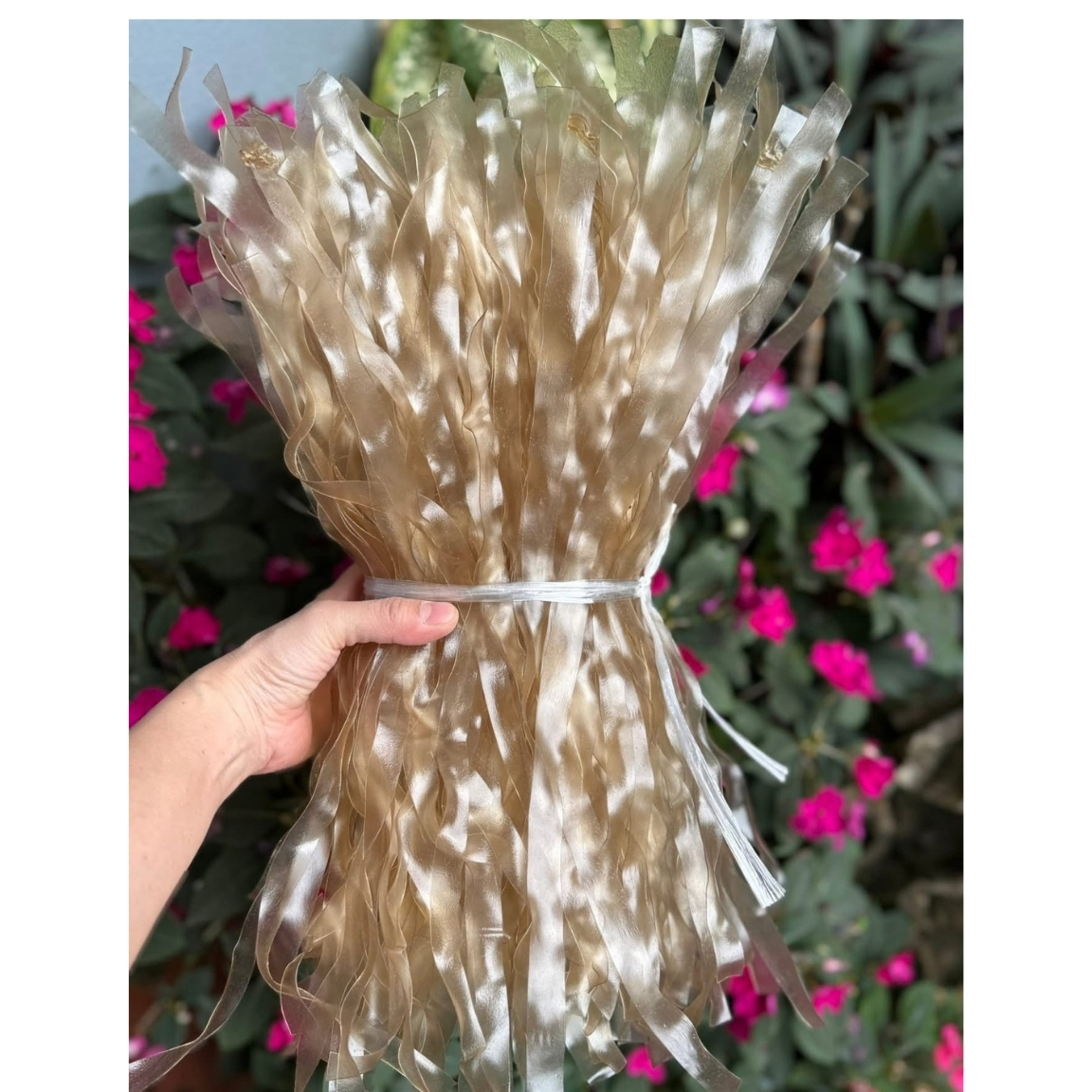 (1kg) Đặc sản miến dong khoai sâm đất. Miến dong thái tay sợi to, sợi nhỏ từ củ dong Tây Bắc, củ khoai sâm đất tươi