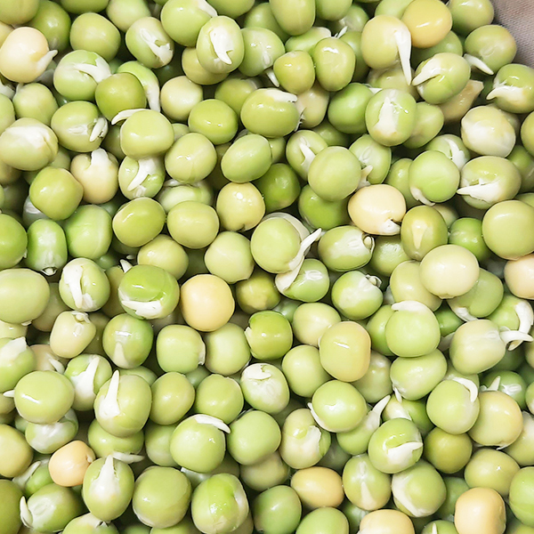 Đậu Hà Lan khô nhập khẩu Canada túi 0.5 kg