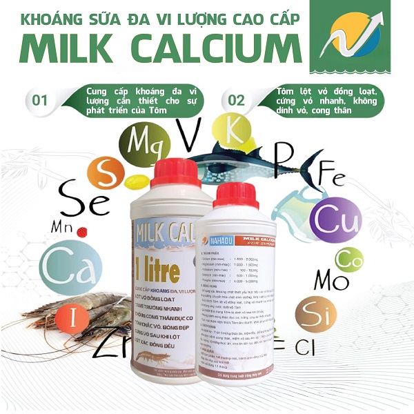 Khoáng sữa chuyên dùng cho tôm nuôi thâm canh, cứng vỏ nhanh, bóng vỏ milk calcium