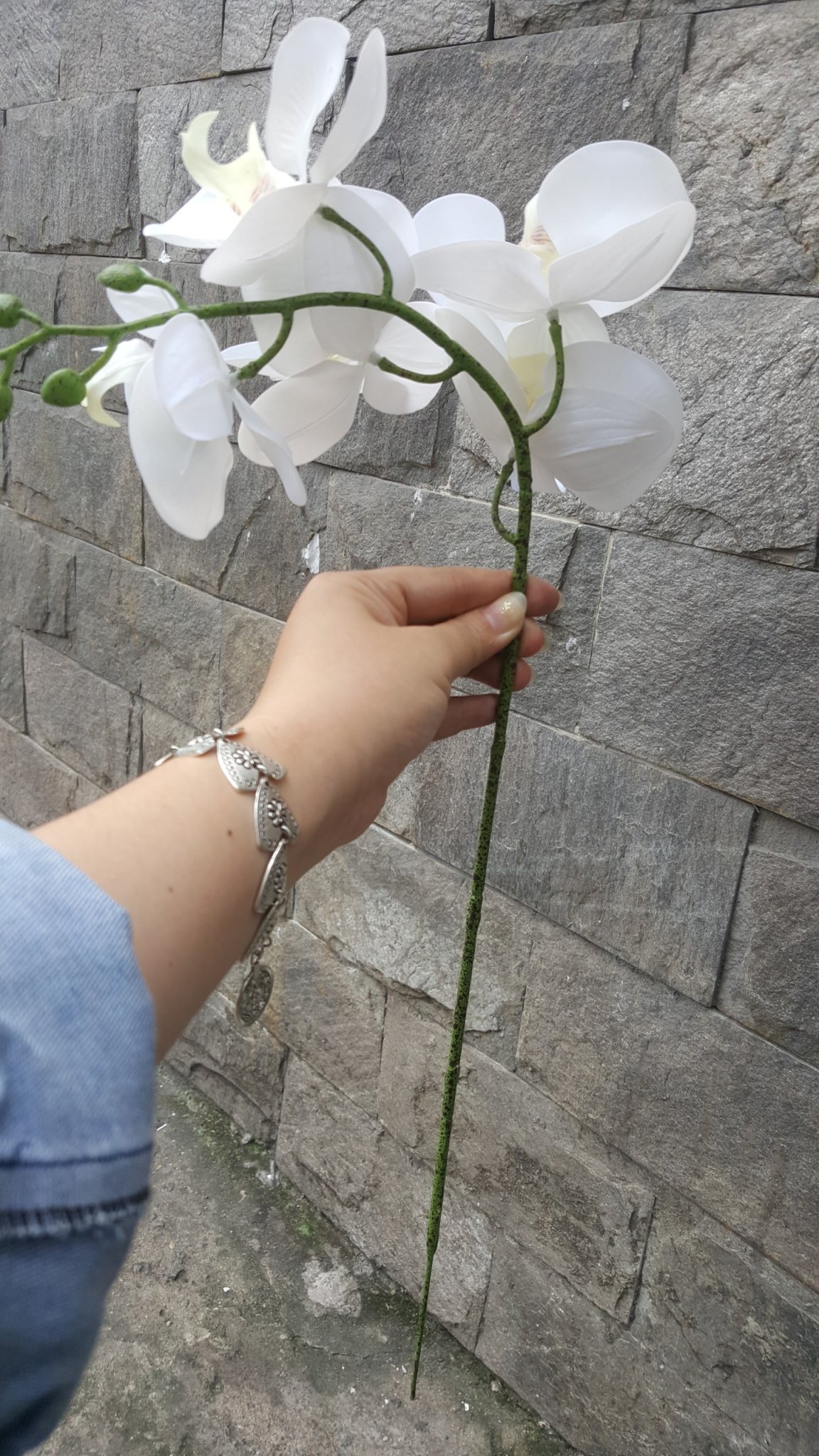 1 Cây Lan hồ điệp bằng cao su 5 bông 60cm MÀU TRẮNG- Hoa giả - Hương Flower