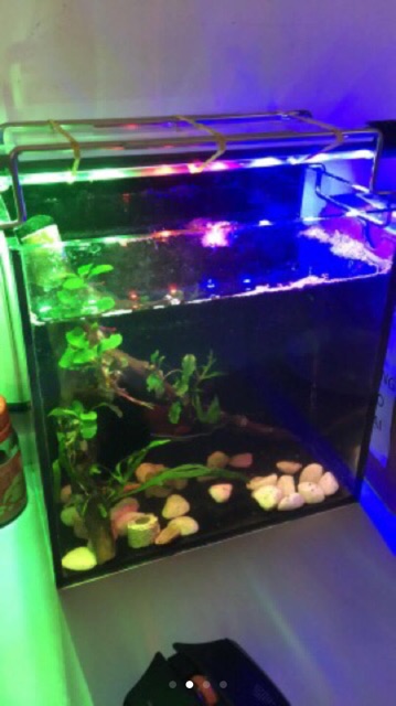 Đèn led bể cá Caibao T4-40LED -3 màu RGB