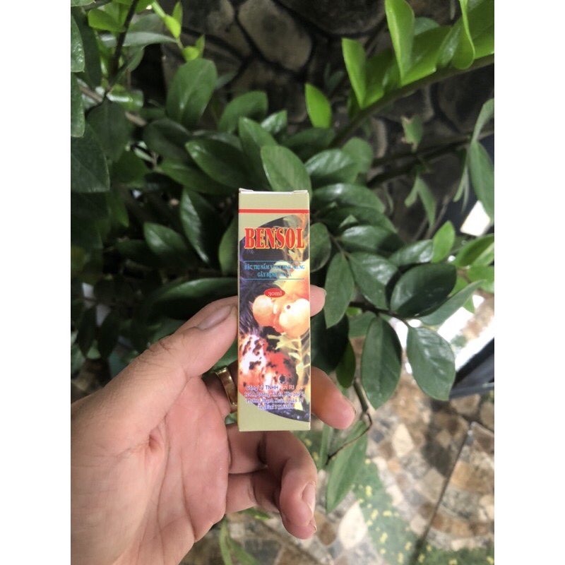 [HCM]Bensol   nấm  GIÚP CÁ KHỎE