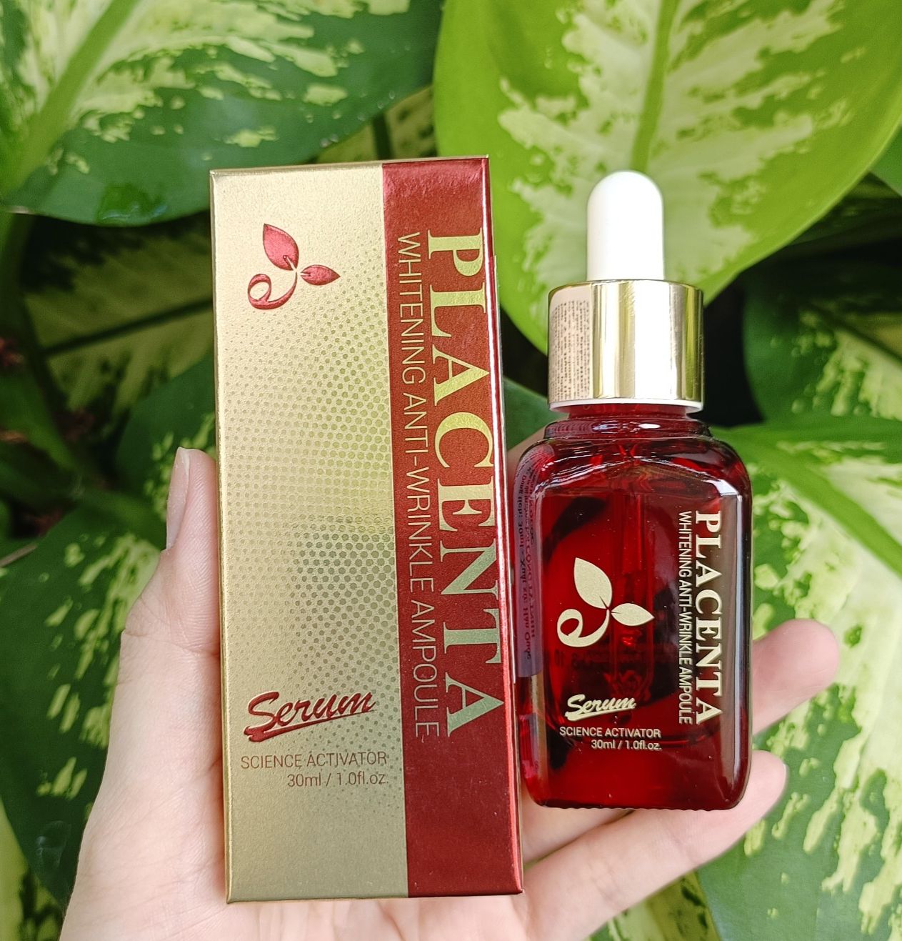 Serum Nhau Thai Cừu Placenta Zelyn 30ml ngừa nám chống lão hóa - Placenta serum Zelyn