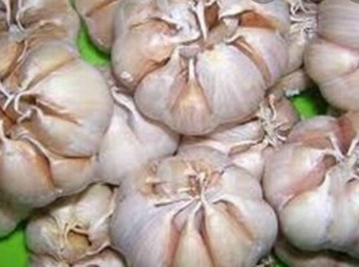 1kg tỏi tép lớn khô thơm ngon Thiên Thảo Organic