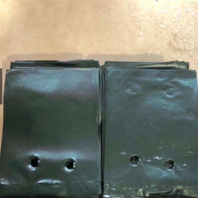 {8X11CM} 1kg TÚI ƯƠM CÂY GIỐNG NILON ĐEN - BẦU ƯƠM CÂY GIỐNG - CỠ 8X11CM