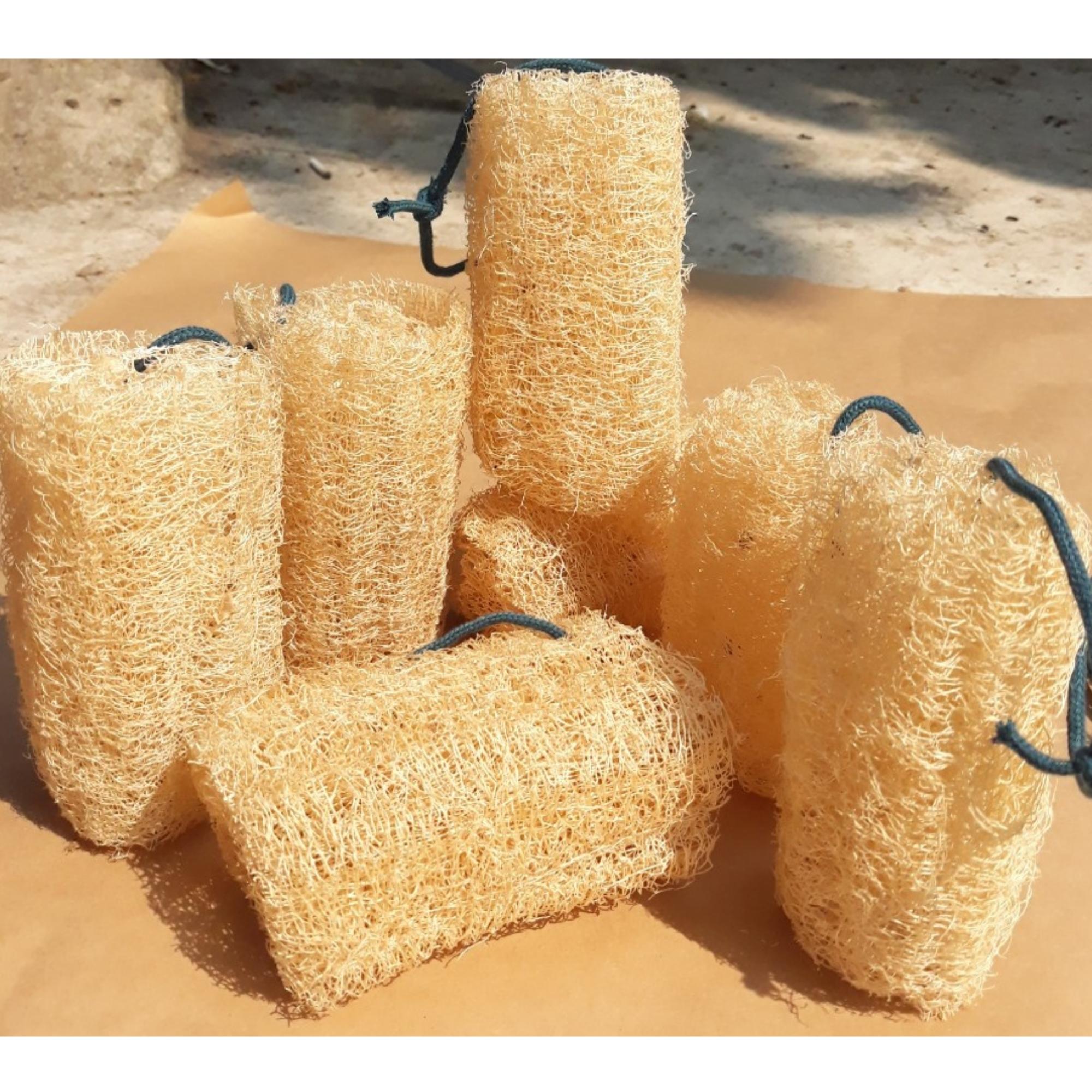 Xơ Mướp Tắm, Xơ Mướp Tẩy Tế Bào Chết, Miếng Rửa Chén Cắt Khúc 12cm, Massage Da, 100% Hàng Hữu Cơ Xuất Khẩu