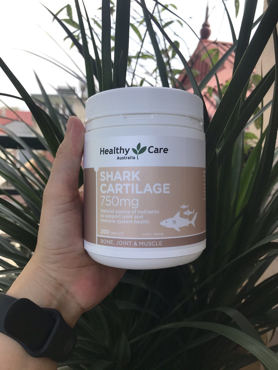 Viên uống sụn vi cá mập Healthy care Shark Cartilage (200 viên)