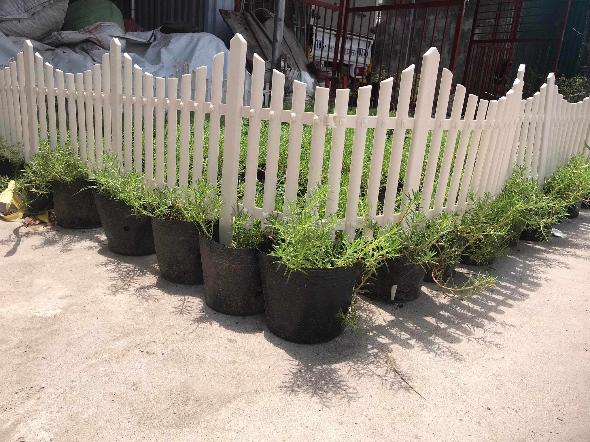 Hàng rào nhựa có đế cắm đất 80cm x cao 52cm