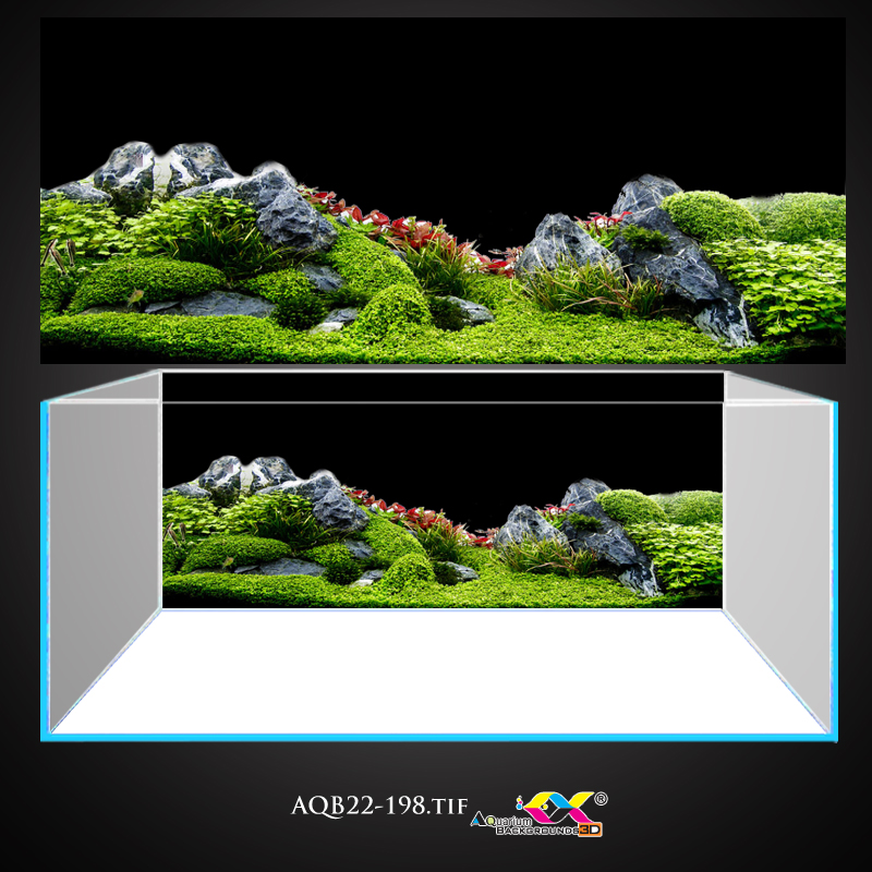 Tranh 3D dán bể cá - hồ cá siêu đẹp và nét có keo sẵn trên bề mặt đa dạng kích thước AQB22-198