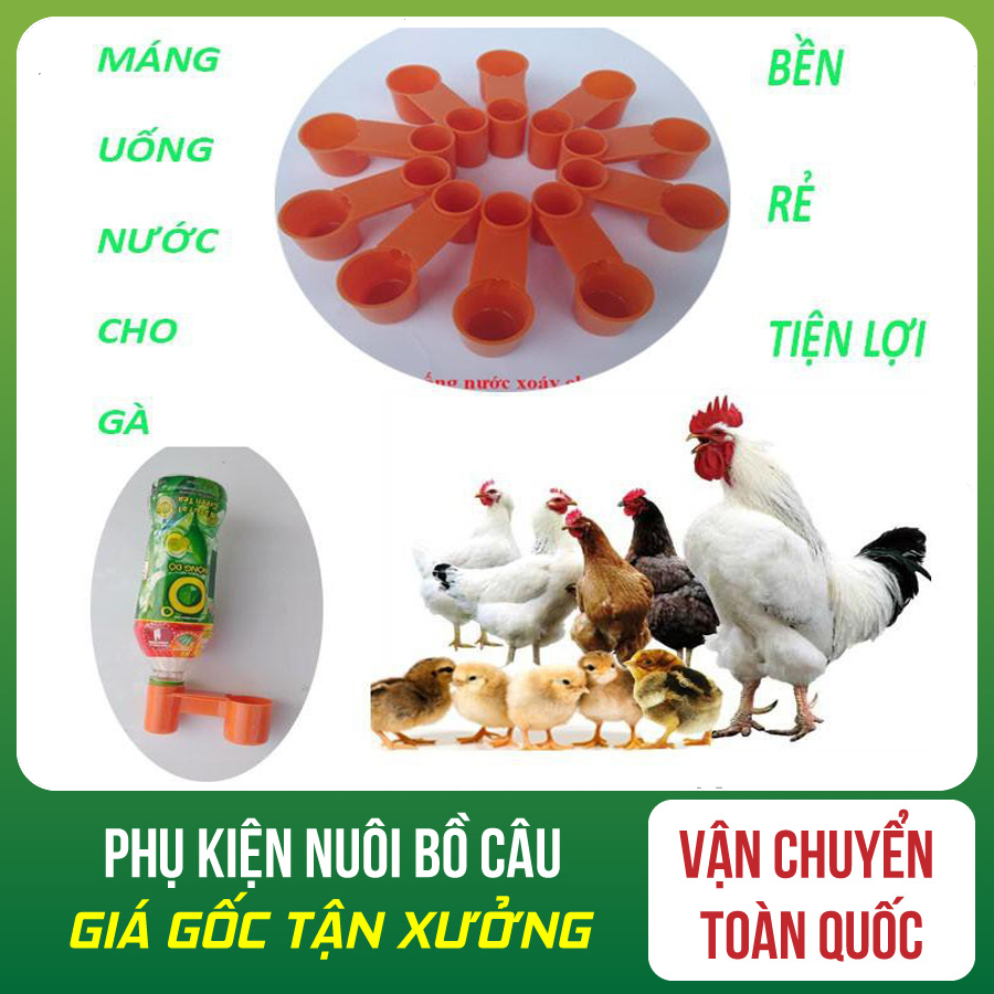 [HOÀN TIỀN 10%]COMBO 40 MÁNG UỐNG NÚT CHAI CHO BỒ CÂU- NÚM UỐNG TỰ ĐỘNG GIA CẦM ( KO KÈM BÌNH) SỐ 8