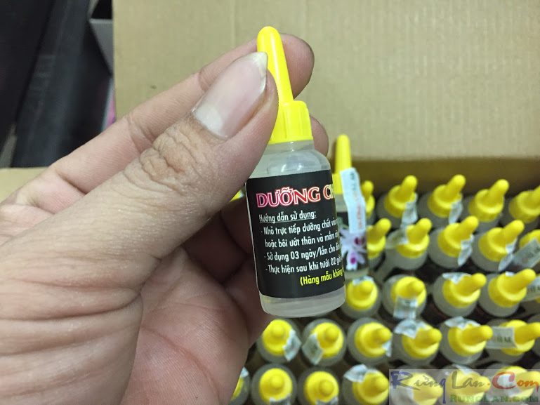 Dưỡng chất AB chuyên phục hồi mầm non bị chai lì hoa lan và cây cảnh chai 10ml
