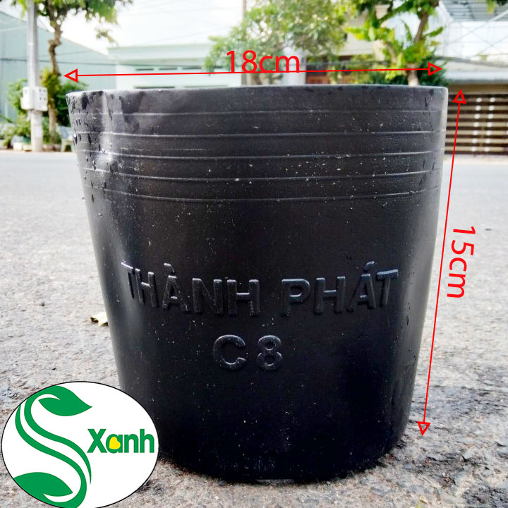 10 chậu trồng cây c8