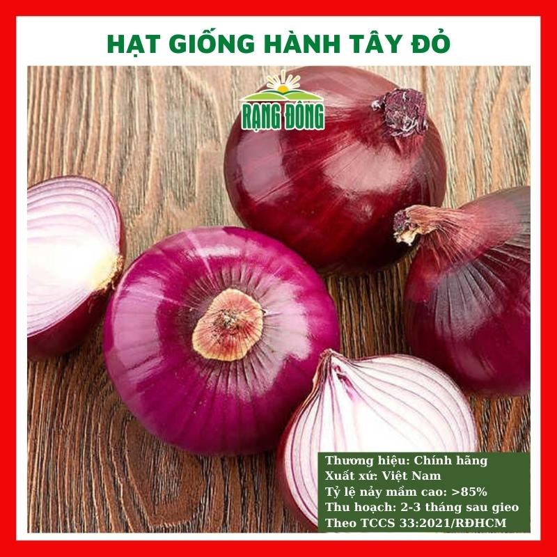 Hạt giống hành tây đỏ - rau củ quả trồng chậu, sân vườn ban công ngon giòn ngọt nảy mầm cao 2g SALAD RED 027