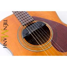 Đàn Acoustic Guitar Pickup Skysonic T-903chất lượng tốt, âm sắc rõ ràng