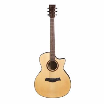 Đàn Guitar Acoustic Poshman N11AC  