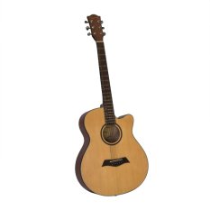 Cách mua Đàn guitar acoustic Sunny SN720A (Gỗ)  