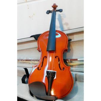 Đàn Violin Gỗ Spruce Quinyun June 2018 - 4 Đàn Violin gỗ spruce Quinyun - 4