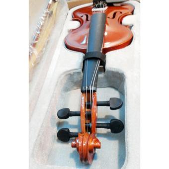 Đàn Violin Gỗ Spruce Quinyun June 2018 - 3 Đàn Violin gỗ spruce Quinyun - 3