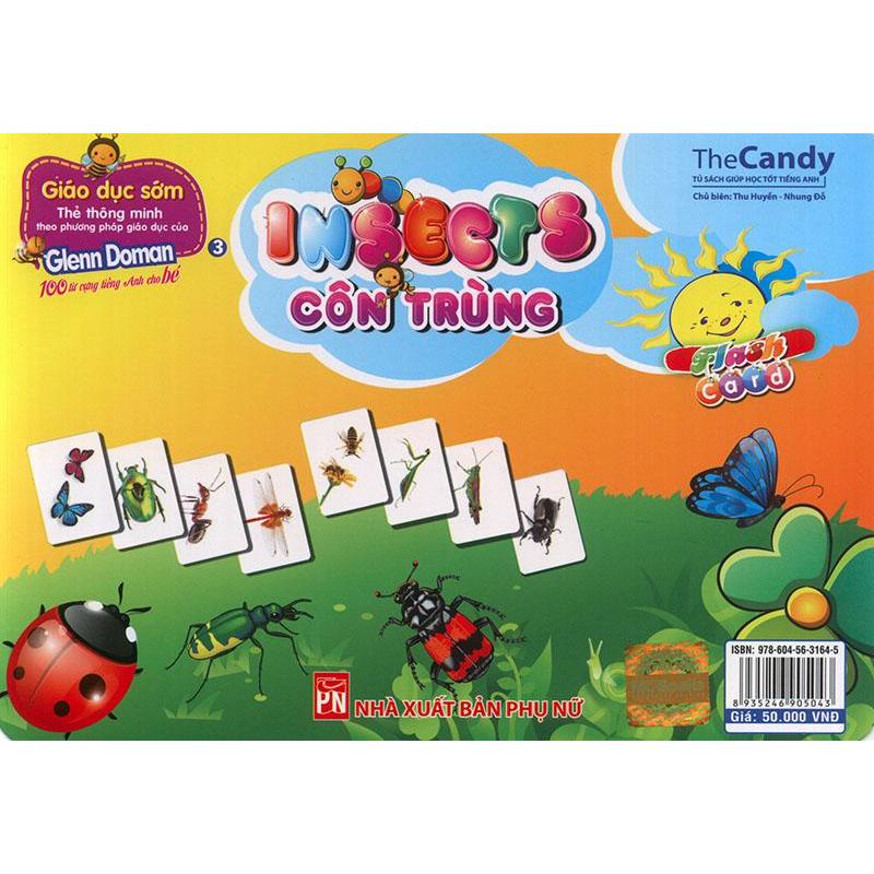Mua Flashcard Insect - Côn Trùng