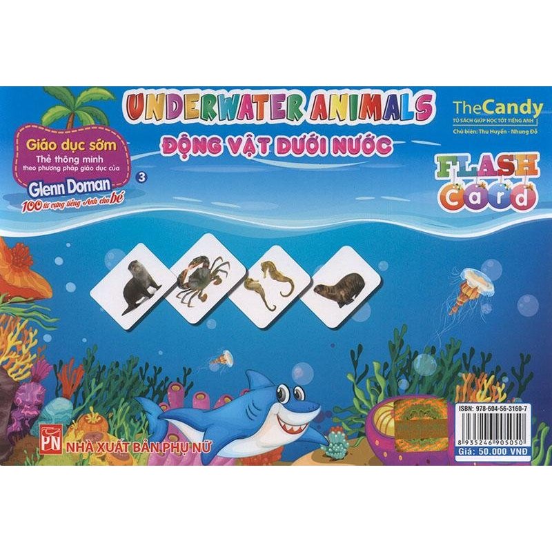 Mua Flashcard Underwater animals - Động vật dưới nước
