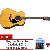 Guitar Yamaha acoustic F310 + Tặng dây đàn guitar Daddario-EZ910 và phím gãy guitar