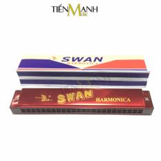 Kèn harmonica swan 24 lỗ tremolo sw24-2 key c